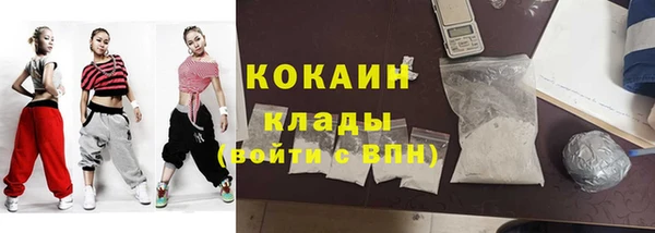 молекула духа Козловка