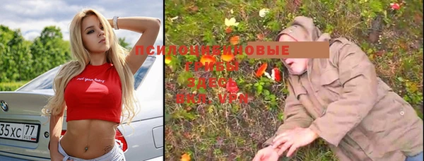 молекула духа Козловка