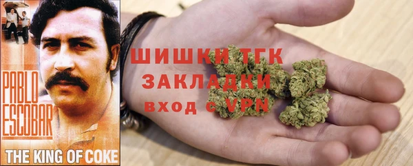 молекула духа Козловка