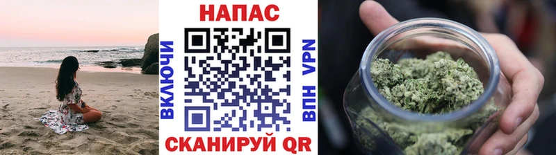 Канабис план  Курганинск 